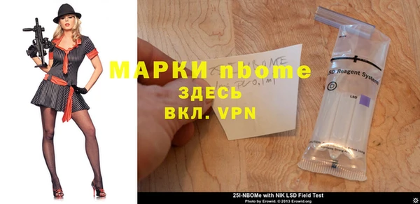 индика Горняк