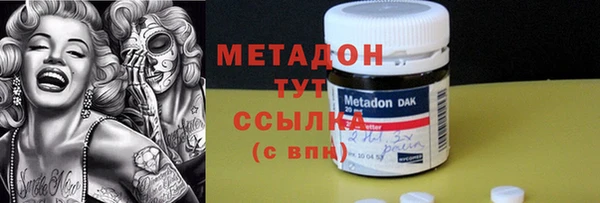 индика Горняк