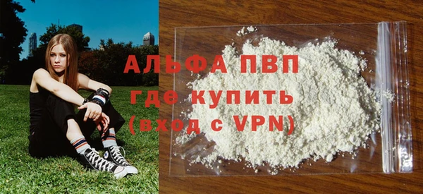индика Горняк