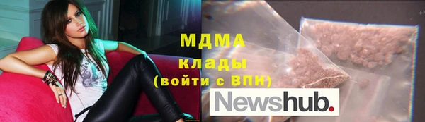 индика Горняк