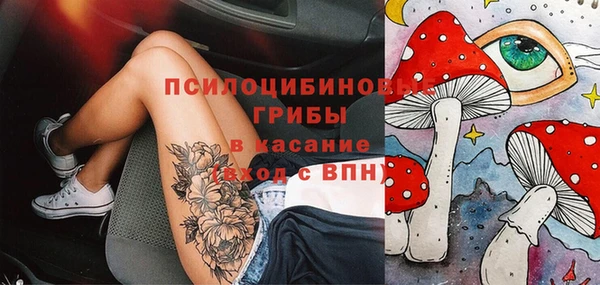 индика Горняк