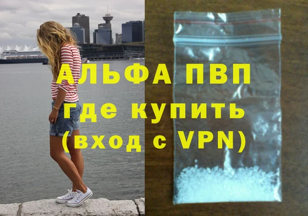 индика Горняк