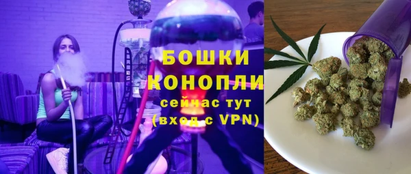 альфа пвп Горнозаводск