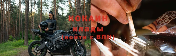 индика Горняк