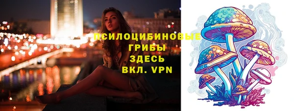 альфа пвп Горнозаводск