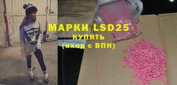 индика Горняк